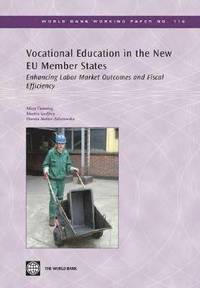 bokomslag Vocational Education in the New EU Member States