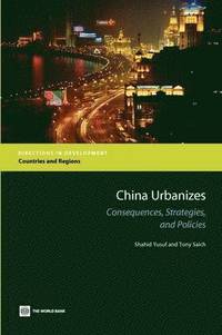bokomslag China Urbanizes