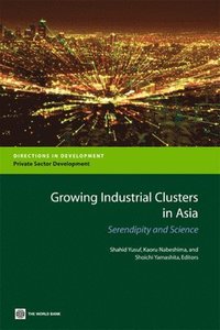bokomslag Growing Industrial Clusters in Asia