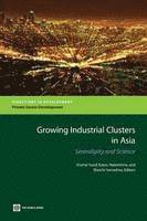 bokomslag Growing Industrial Clusters in Asia