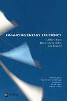 Robert P. Taylor, Chandrasekar Govindarajalu, Anke S. Meyer - Financing Energy Efficiency, Häftad