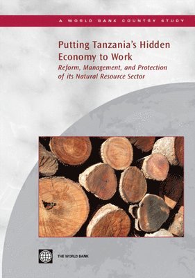 Putting Tanzania's Hidden Economy to Work 1