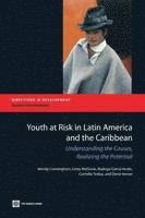 bokomslag Youth at Risk in Latin America and the Caribbean