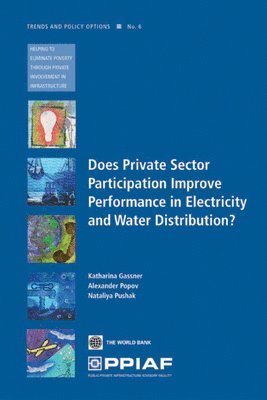 bokomslag Does Private Sector Participation Improve Performance in Electricity and Water Distribution?