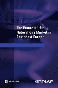 bokomslag The Future of the Natural Gas Market in Southeast Europe