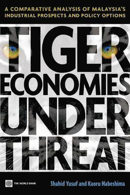 bokomslag Tiger Economies Under Threat