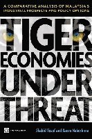 bokomslag Tiger Economies Under Threat