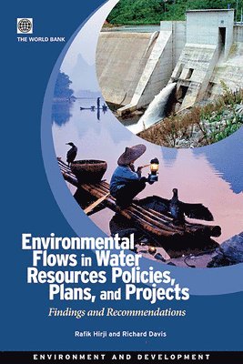 Rafik Fatehali Hirji, Richard Davis, Rafik Hirji - Environmental Flows in Water Resources Policies, Plans, and Projects, Häftad