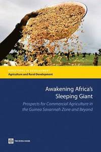bokomslag Awakening Africa's Sleeping Giant