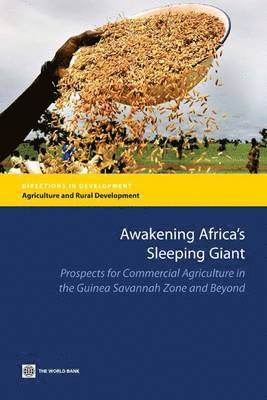 Awakening Africa's Sleeping Giant 1