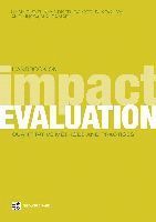 bokomslag Handbook on Impact Evaluation