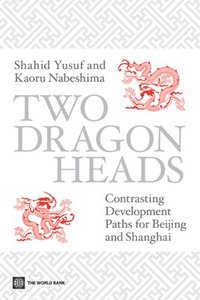 bokomslag Two Dragon Heads