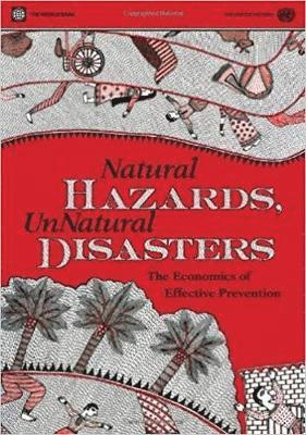 bokomslag Natural Hazards, UnNatural Disasters