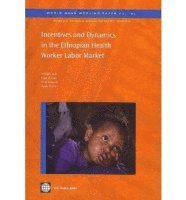 bokomslag Incentives and Dynamics in the Ethiopian Health Worker Labor Market