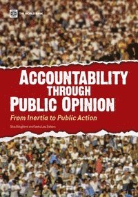 bokomslag Accountability Through Public Opinion