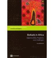 bokomslag Biofuels in Africa