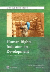 bokomslag Human Rights Indicators in Development