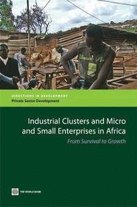 bokomslag Industrial Clusters and Micro and Small Enterprises in Africa