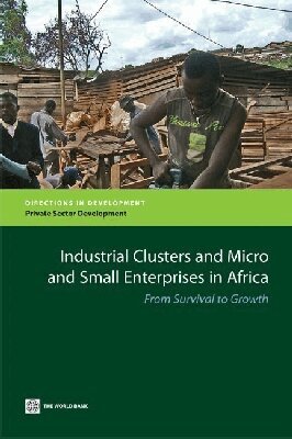 The World Bank - Industrial Clusters and Micro and Small Enterprises in Africa, Häftad