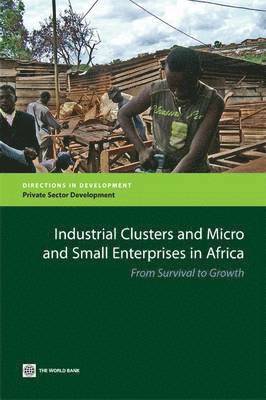 bokomslag Industrial Clusters and Micro and Small Enterprises in Africa