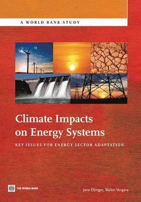 Jane Ebinger, Walter Vergara, Irene Leino - Climate Impacts on Energy Systems, Häftad