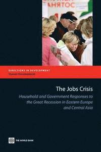 bokomslag The Jobs Crisis