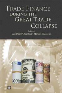 bokomslag Trade Finance during the Great Trade Collapse