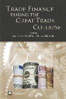 Jean-Pierre Chauffour, Mariem Malouche - Trade Finance During the Great Trade Collapse, Häftad