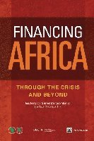 bokomslag Financing Africa