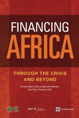 Financing Africa 1