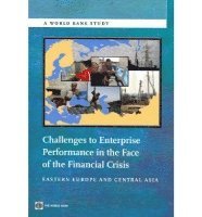 bokomslag Challenges to Enterprise Performance in the Face of the Financial Crisis