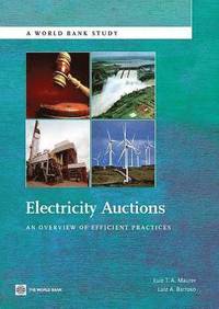 bokomslag Electricity Auctions