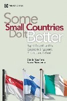 bokomslag Some Small Countries Do It Better