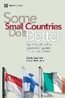 Some Small Countries do it Better 1