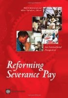 Robert Holzmann - Reforming Severance Pay, Häftad