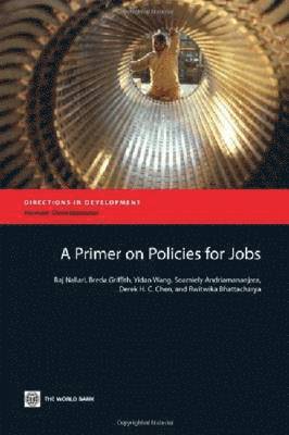 Raj Nallari, Breda Griffith - Primer on Policies for Jobs, Häftad