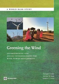 bokomslag Greening the Wind