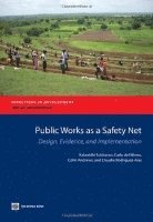 bokomslag Public Works As a Safety Net