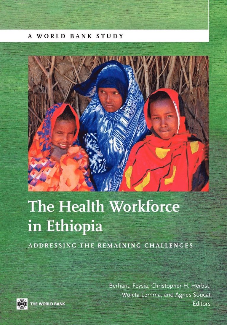Berhanu Feysia, Christopher Herbst, Wuleta Lemma - Health Workforce in Ethiopia, Häftad