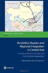 bokomslag Borderless Bazaars and Border Trade in Central Asia
