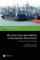 bokomslag Why Does Cargo Spend Weeks in Sub-Saharan African Ports?