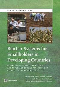 bokomslag Biochar Systems for Smallholders in Developing Countries