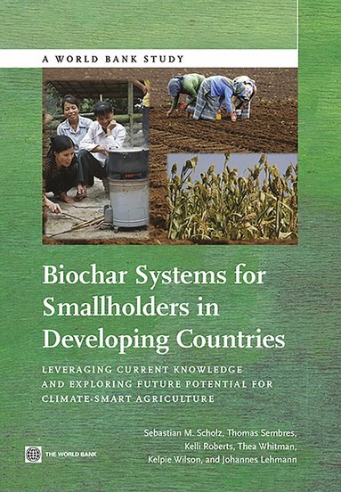 Sebastian Scholz, Thomas Sembres, Kelli Roberts, Thea Whitman, Kelpie Wilson, Johannes Lehmann - Biochar Systems for Smallholders in Developing Countries, Häftad