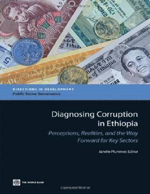 Janelle Plummer - Diagnosing Corruption in Ethiopia, Häftad