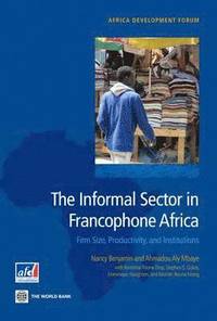 bokomslag The Informal Sector in Francophone Africa