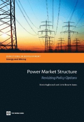 bokomslag Power Market Structure