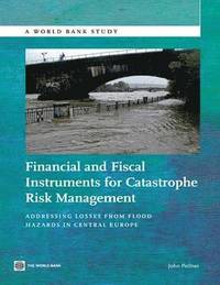bokomslag Financial and Fiscal Instruments for Catastrophe Risk Management