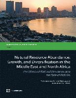 bokomslag Natural Resource Abundance, Growth, and Diversification in the Middle East and North Africa