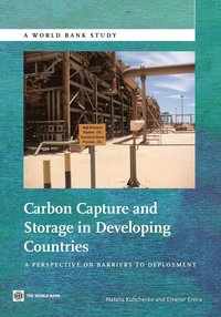 bokomslag Carbon Capture and Storage in Developing Countries