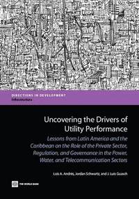 bokomslag Uncovering the Drivers of Utility Performance